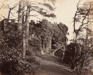 1860年代、セヴァンのウィンターダインにて（写真）
