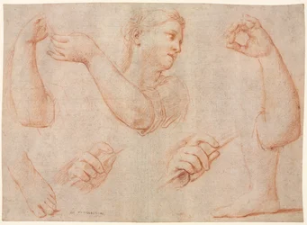 タンバリンを演奏する若い女性の研究、腕、手、足の研究...、c。 1711。