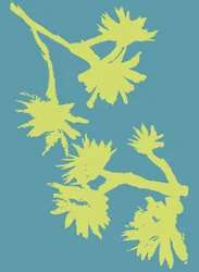 Succulent_2, 2022（紙にインク）