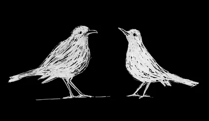 2羽の白い黒鳥、2017年（紙にスクラッチボード）