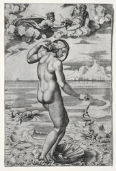 金星の誕生、c。 1516年。