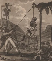ハイチ革命。1791年8月21日の夜の奴隷反乱、1805年。