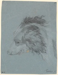 犬の頭