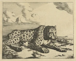 右に横たわるヒョウ、視聴者に足を向ける ヒョウ（シリーズタイトル）