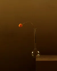 ミニマルなオレンジの花