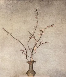 繊細な春の花々