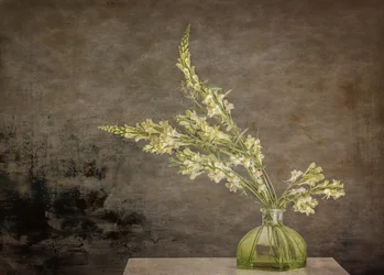 素朴な花の静物画