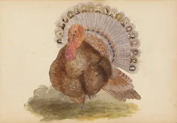マダムBのアルバム、1870年代。