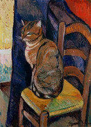 椅子に座っている猫の研究。椅子に座る猫の研究