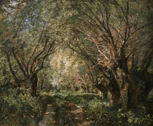 Willow Avenue in Stillfried an der March