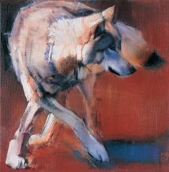 デシベリー、2001