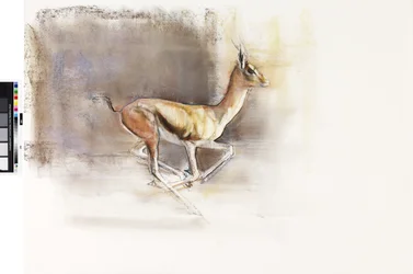 Desert Wind（Arabian Gazelle）、2010（紙に油彩）