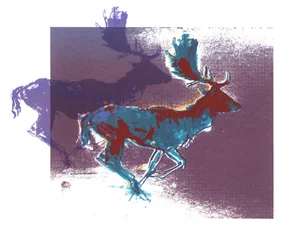 Fallow Bucks（bluered、purple）、2015、（スクリーンプリント）