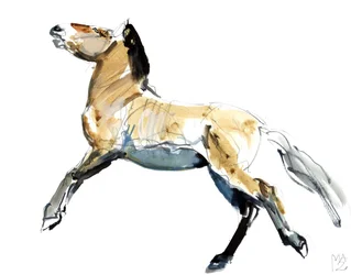 無料（Przewalski）、2012、（紙のミクストメディア）