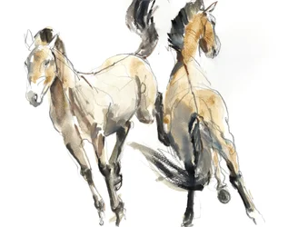Horsing、2013（水彩画と紙の上の顔料）