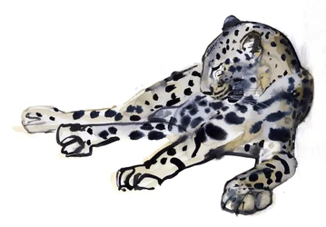 リカンベント（アラビアヒョウ）、2008