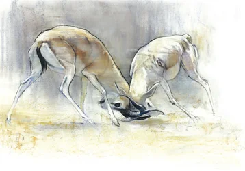 砂のガゼル」2009年（紙にコンテと木炭
