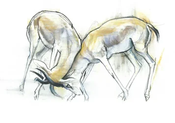 砂のガゼル、2009（紙にコンテと木炭）