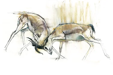 砂のガゼル、2009（紙にコンテと木炭）