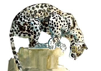 Spine（Arabian Leopard）、2015、（水彩、ガッシュ、紙）