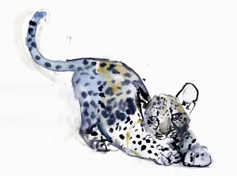 カブのストレッチング（アラビアのヒョウ）、2008
