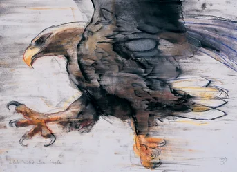 Talons-White tailed Sea Eagle、2001（木炭と紙の上のコント）