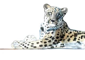 Tilt（Arabian Leopard）、2015、（水彩、ガッシュ、紙）