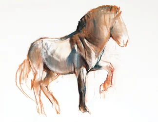 ターニング（Przewalski）、2013、（紙にパステルと木炭）