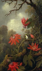 ハチドリとパッションフラワー、c.1875–85
