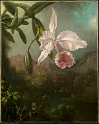 蘭の花、1873。