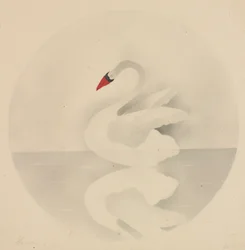 白鳥。