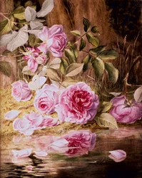 Blairie Roses（水彩・紙）