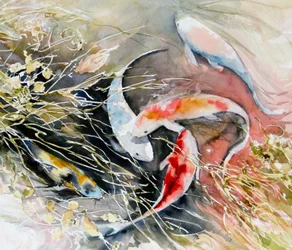 織り魚