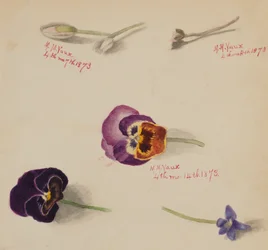 無題--花の習作」1873年