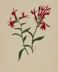 無題--花の習作」1876年