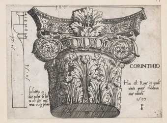 Speculum Romanae Magnificentiae:コリント式柱頭、1537年、1537年