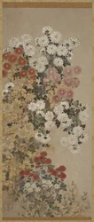 菊、掛軸（パネル上）、1600-30（紙色）