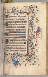 ナバラ王シャルル・ザ・ノーブル（1361-1425年）の時：フォール216r、テキスト