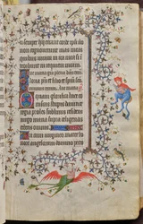 ナバラ王シャルル・ザ・ノーブル（1361-1425年）の時：フォール31r、テキスト