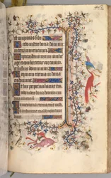 チャールズザノーブル、ナヴァール王1361-1425の時間：fol。 225r、テキスト、c。 1405年。