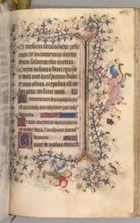チャールズザノーブル、ナヴァール王1361-1425の時間：fol。 237r、テキスト、c。 1405年。