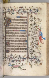 チャールズザノーブル、ナヴァール王1361-1425の時間：fol。 244r、テキスト、c。 1405年。