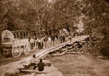 1861年から65年にかけて米国のエンジニアによって建てられたブドウの木の橋