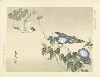 青いヒルガオで飛んでいる 2 羽の鳥 景文の花鳥画 三部（連載タイトル） 景文課長画風講変
