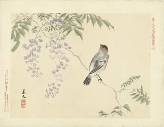 藤の枝の鳥 景文の花鳥画 第三部（連載タイトル） 景文課長画風講変