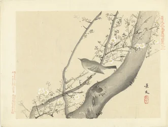 白い花を持つ木の鳥 景文の花鳥画 前編（連載タイトル） 景文課長画風全ペン