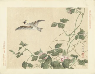 ピンクの花を持つつる性植物から飛び立つ鳥 景文の花鳥画 第三部（連載タイトル） 景文課長画風講変
