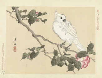 ツバキの枝の白いオウム。1892年