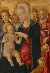 天使とケルビムの聖母子像 1460-1465年頃 テンペラ、ポプラパネル