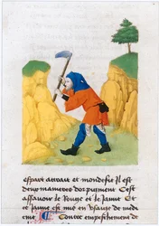 Le Livre des simples medecines - Matthaeus Plateariusの12世紀のラテン語写本（羊皮紙）をフランス語に翻訳。